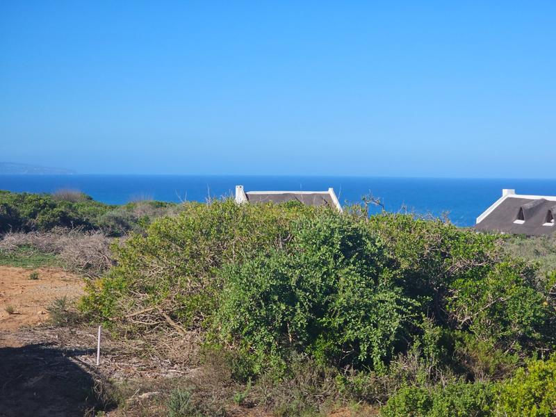 0 Bedroom Property for Sale in Boggomsbaai Western Cape